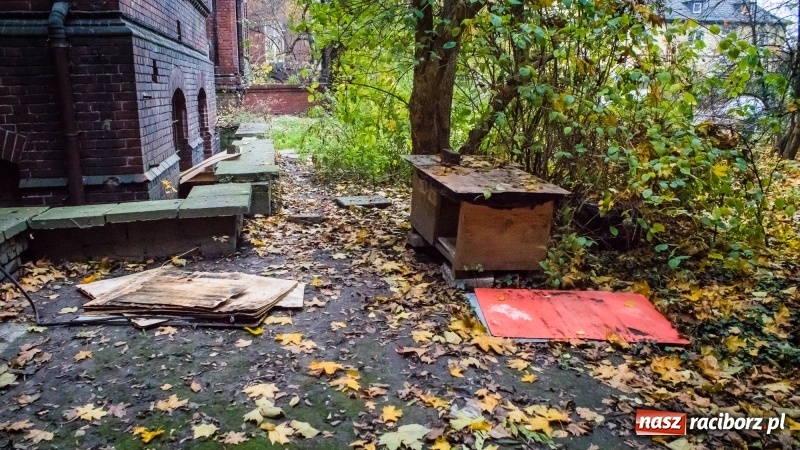 Zdjęcie w galerii na portalu naszraciborz.pl: Sodomy i Gomory w starym szpitalu ciąg dalszy. Czytelniczki alarmują o tym, co się dzieje w centrum Raciborza wiadomości z regionu