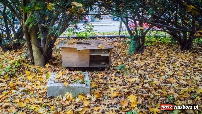 Zdjęcie w galerii na portalu naszraciborz.pl: Sodomy i Gomory w starym szpitalu ciąg dalszy. Czytelniczki alarmują o tym, co się dzieje w centrum Raciborza wiadomości z regionu