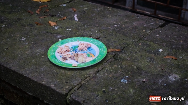 Zdjęcie w galerii na portalu naszraciborz.pl: Sodomy i Gomory w starym szpitalu ciąg dalszy. Czytelniczki alarmują o tym, co się dzieje w centrum Raciborza wiadomości z regionu