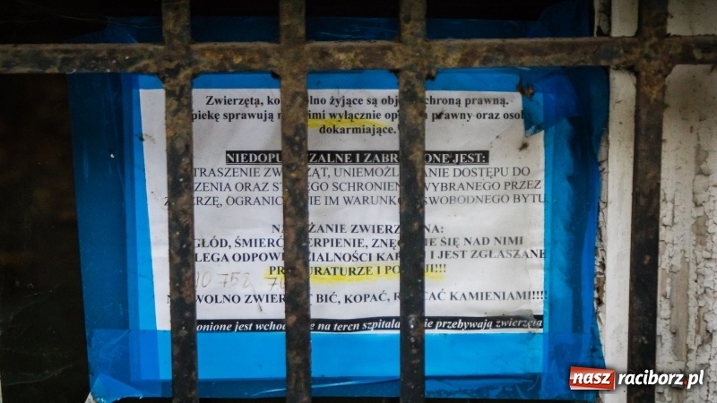 Zdjęcie w galerii na portalu naszraciborz.pl: Sodomy i Gomory w starym szpitalu ciąg dalszy. Czytelniczki alarmują o tym, co się dzieje w centrum Raciborza wiadomości z regionu