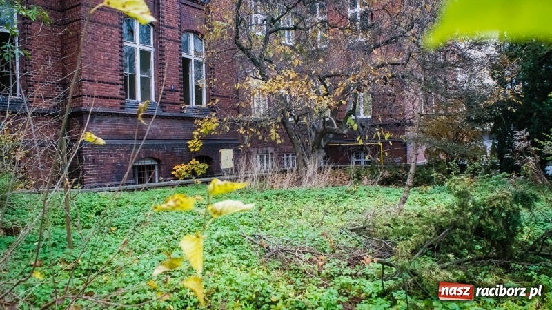 Zdjęcie w galerii na portalu naszraciborz.pl: Sodomy i Gomory w starym szpitalu ciąg dalszy. Czytelniczki alarmują o tym, co się dzieje w centrum Raciborza wiadomości z regionu
