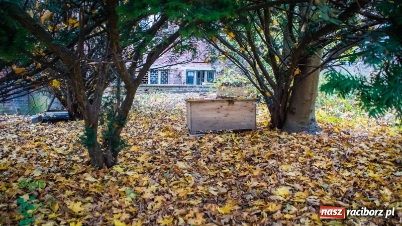 Zdjęcie w galerii na portalu naszraciborz.pl: Sodomy i Gomory w starym szpitalu ciąg dalszy. Czytelniczki alarmują o tym, co się dzieje w centrum Raciborza wiadomości z regionu