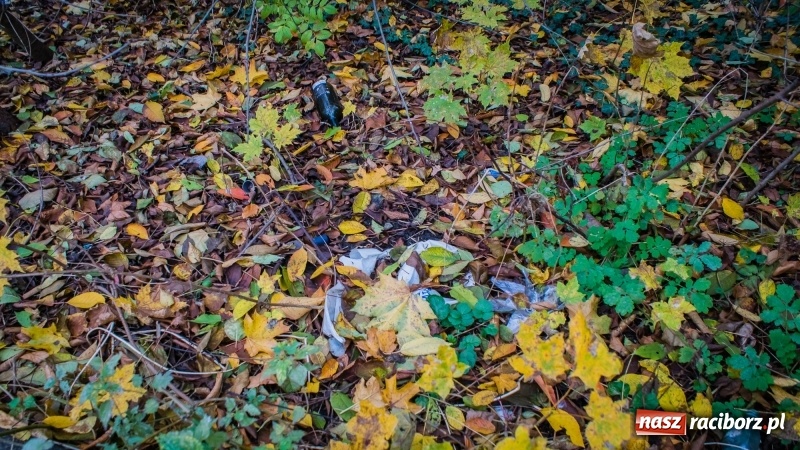Zdjęcie w galerii na portalu naszraciborz.pl: Sodomy i Gomory w starym szpitalu ciąg dalszy. Czytelniczki alarmują o tym, co się dzieje w centrum Raciborza wiadomości z regionu
