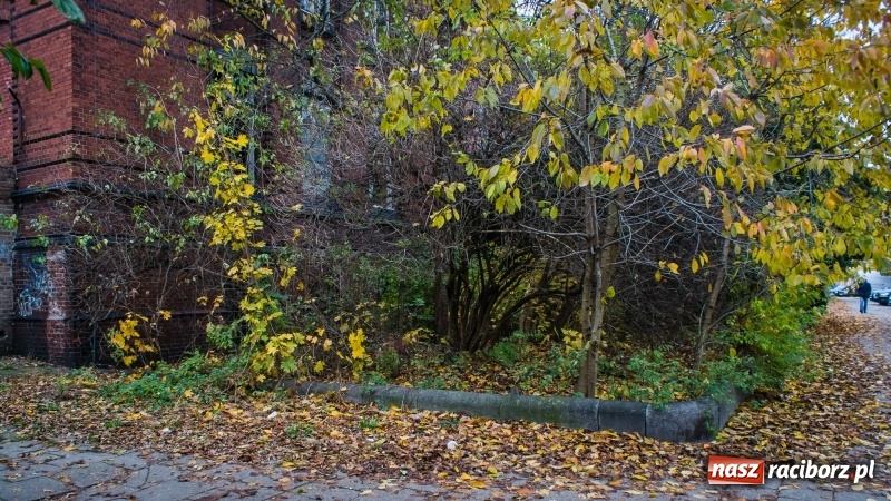 Zdjęcie w galerii na portalu naszraciborz.pl: Sodomy i Gomory w starym szpitalu ciąg dalszy. Czytelniczki alarmują o tym, co się dzieje w centrum Raciborza wiadomości z regionu