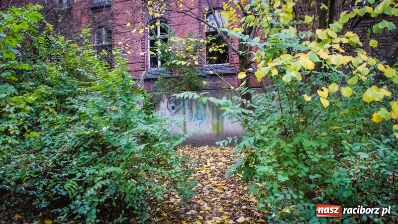 Zdjęcie w galerii na portalu naszraciborz.pl: Sodomy i Gomory w starym szpitalu ciąg dalszy. Czytelniczki alarmują o tym, co się dzieje w centrum Raciborza wiadomości z regionu