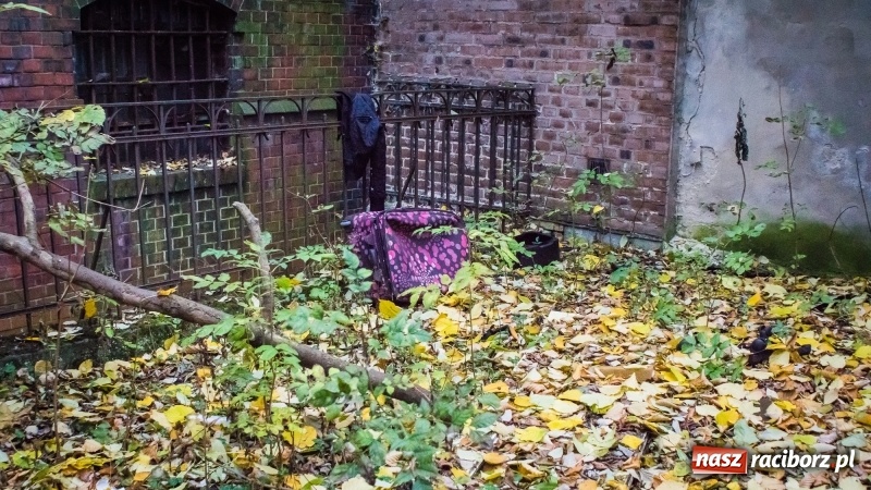 Zdjęcie w galerii na portalu naszraciborz.pl: Sodomy i Gomory w starym szpitalu ciąg dalszy. Czytelniczki alarmują o tym, co się dzieje w centrum Raciborza wiadomości z regionu