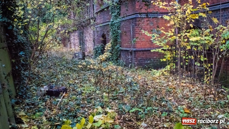 Zdjęcie w galerii na portalu naszraciborz.pl: Sodomy i Gomory w starym szpitalu ciąg dalszy. Czytelniczki alarmują o tym, co się dzieje w centrum Raciborza wiadomości z regionu