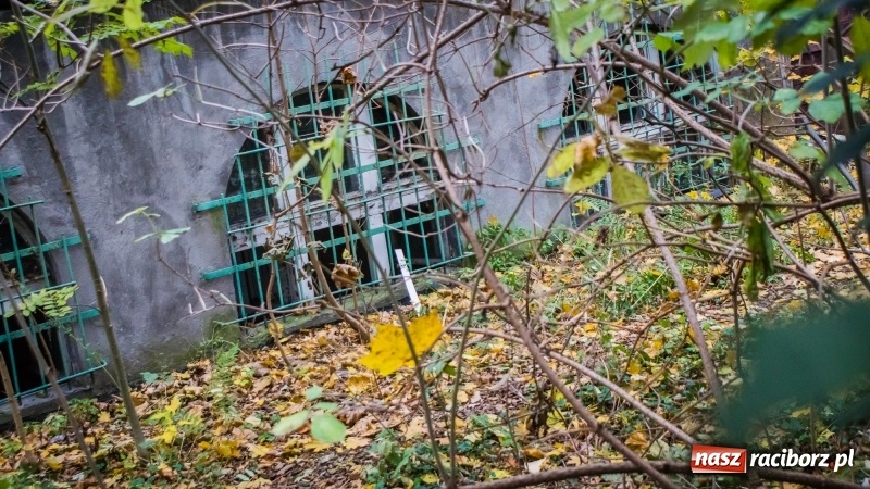 Zdjęcie w galerii na portalu naszraciborz.pl: Sodomy i Gomory w starym szpitalu ciąg dalszy. Czytelniczki alarmują o tym, co się dzieje w centrum Raciborza wiadomości z regionu