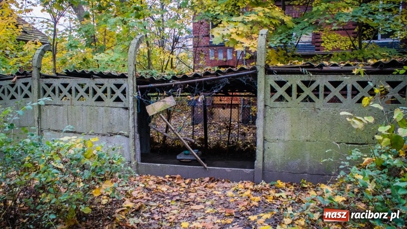 Zdjęcie w galerii na portalu naszraciborz.pl: Sodomy i Gomory w starym szpitalu ciąg dalszy. Czytelniczki alarmują o tym, co się dzieje w centrum Raciborza wiadomości z regionu