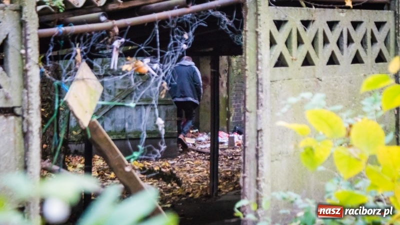 Zdjęcie w galerii na portalu naszraciborz.pl: Sodomy i Gomory w starym szpitalu ciąg dalszy. Czytelniczki alarmują o tym, co się dzieje w centrum Raciborza wiadomości z regionu