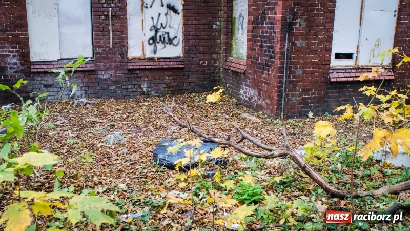 Zdjęcie w galerii na portalu naszraciborz.pl: Sodomy i Gomory w starym szpitalu ciąg dalszy. Czytelniczki alarmują o tym, co się dzieje w centrum Raciborza wiadomości z regionu