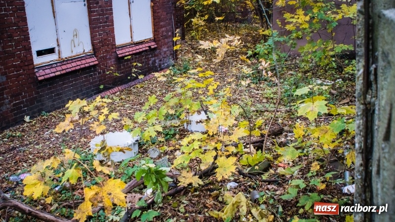 Zdjęcie w galerii na portalu naszraciborz.pl: Sodomy i Gomory w starym szpitalu ciąg dalszy. Czytelniczki alarmują o tym, co się dzieje w centrum Raciborza wiadomości z regionu