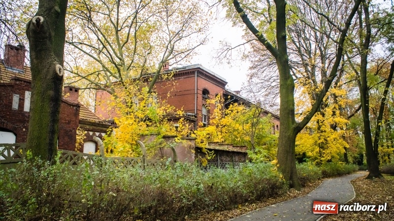 Zdjęcie w galerii na portalu naszraciborz.pl: Sodomy i Gomory w starym szpitalu ciąg dalszy. Czytelniczki alarmują o tym, co się dzieje w centrum Raciborza wiadomości z regionu