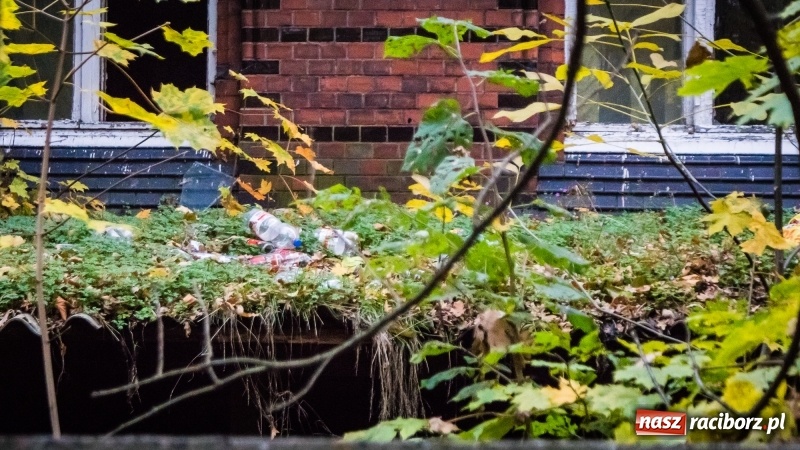 Zdjęcie w galerii na portalu naszraciborz.pl: Sodomy i Gomory w starym szpitalu ciąg dalszy. Czytelniczki alarmują o tym, co się dzieje w centrum Raciborza wiadomości z regionu