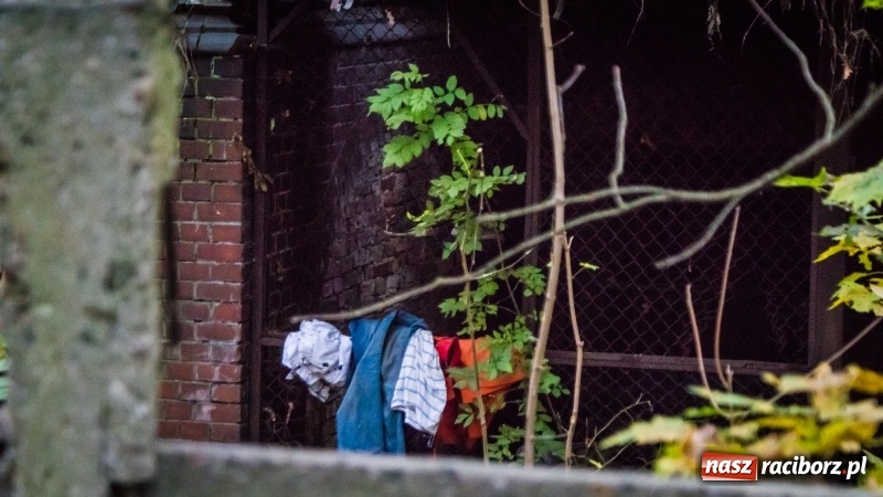 Zdjęcie w galerii na portalu naszraciborz.pl: Sodomy i Gomory w starym szpitalu ciąg dalszy. Czytelniczki alarmują o tym, co się dzieje w centrum Raciborza wiadomości z regionu