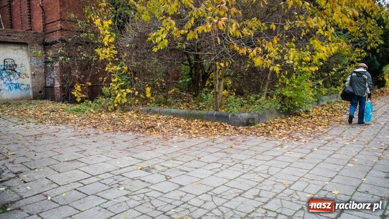 Zdjęcie w galerii na portalu naszraciborz.pl: Sodomy i Gomory w starym szpitalu ciąg dalszy. Czytelniczki alarmują o tym, co się dzieje w centrum Raciborza wiadomości z regionu