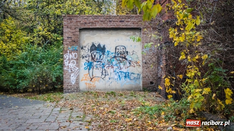 Zdjęcie w galerii na portalu naszraciborz.pl: Sodomy i Gomory w starym szpitalu ciąg dalszy. Czytelniczki alarmują o tym, co się dzieje w centrum Raciborza wiadomości z regionu