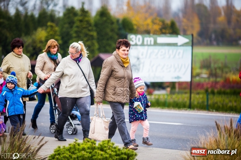 Zdjęcie w galerii na portalu naszraciborz.pl: Św. Marcin zawitał do Studziennej wiadomości z regionu