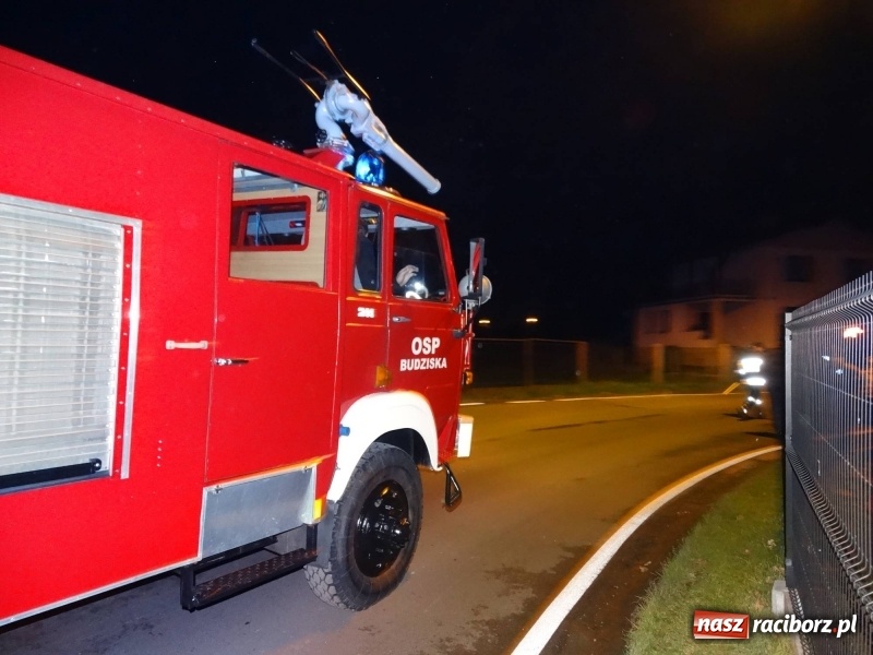 Zdjęcie w galerii na portalu naszraciborz.pl: Święty Marcin w Budziskach po raz dziesiąty  wiadomości z regionu