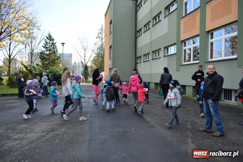 Zdjęcie w galerii na portalu naszraciborz.pl: Świąteczne bieganie w Kuźni, czyli Bieg Niepodległości wiadomości z regionu