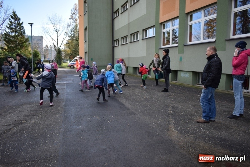 Zdjęcie w galerii na portalu naszraciborz.pl: Świąteczne bieganie w Kuźni, czyli Bieg Niepodległości wiadomości z regionu