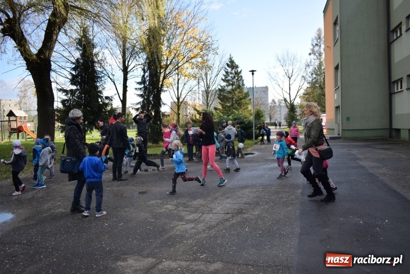 Zdjęcie w galerii na portalu naszraciborz.pl: Świąteczne bieganie w Kuźni, czyli Bieg Niepodległości wiadomości z regionu