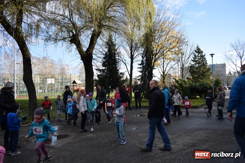 Zdjęcie w galerii na portalu naszraciborz.pl: Świąteczne bieganie w Kuźni, czyli Bieg Niepodległości wiadomości z regionu