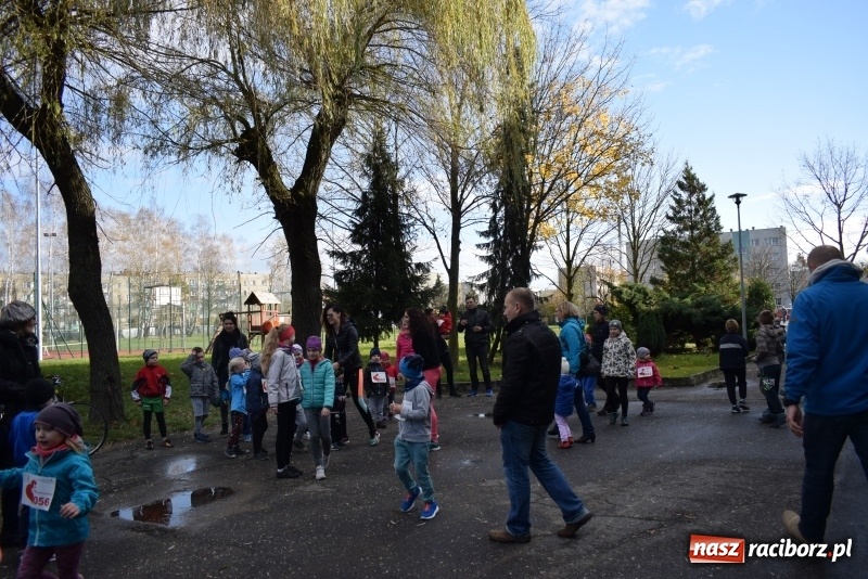 Zdjęcie w galerii na portalu naszraciborz.pl: Świąteczne bieganie w Kuźni, czyli Bieg Niepodległości wiadomości z regionu