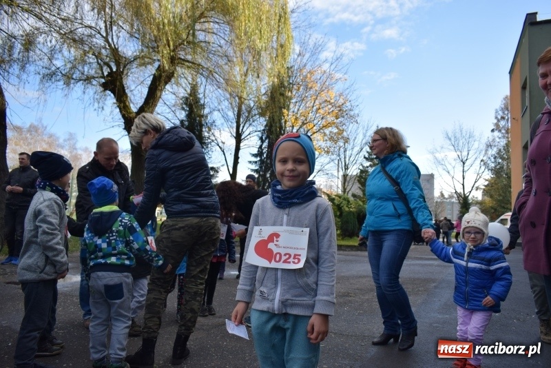Zdjęcie w galerii na portalu naszraciborz.pl: Świąteczne bieganie w Kuźni, czyli Bieg Niepodległości wiadomości z regionu