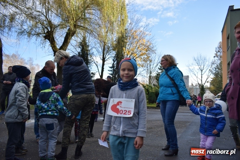 Zdjęcie w galerii na portalu naszraciborz.pl: Świąteczne bieganie w Kuźni, czyli Bieg Niepodległości wiadomości z regionu