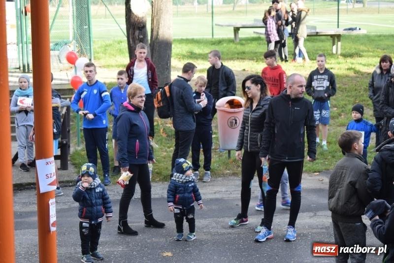 Zdjęcie w galerii na portalu naszraciborz.pl: Świąteczne bieganie w Kuźni, czyli Bieg Niepodległości wiadomości z regionu