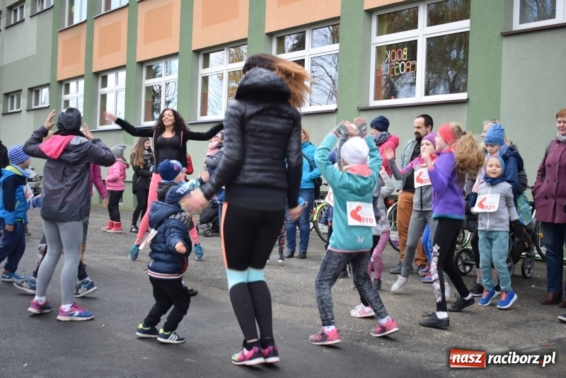 Zdjęcie w galerii na portalu naszraciborz.pl: Świąteczne bieganie w Kuźni, czyli Bieg Niepodległości wiadomości z regionu