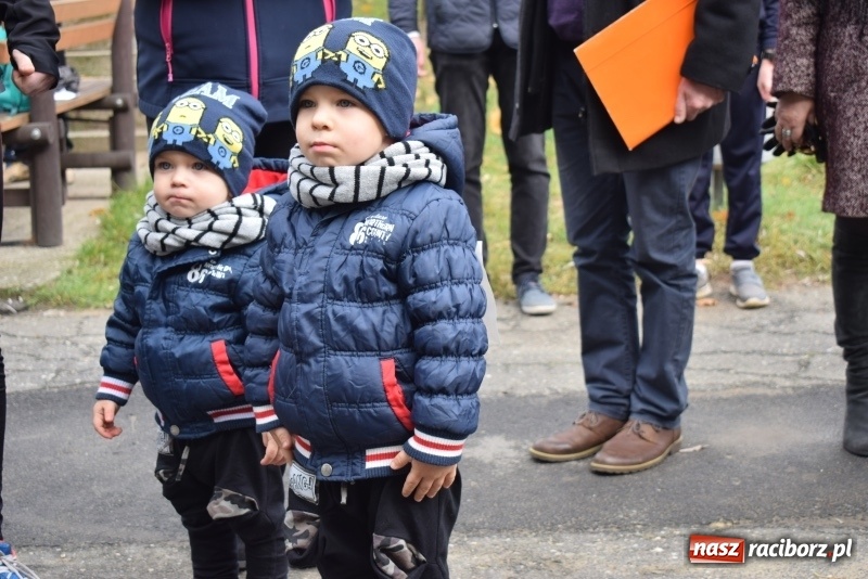 Zdjęcie w galerii na portalu naszraciborz.pl: Świąteczne bieganie w Kuźni, czyli Bieg Niepodległości wiadomości z regionu