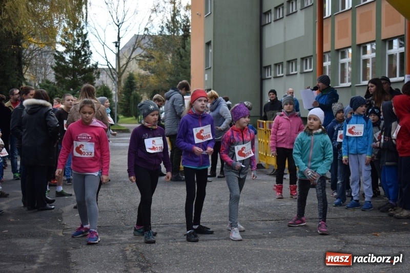 Zdjęcie w galerii na portalu naszraciborz.pl: Świąteczne bieganie w Kuźni, czyli Bieg Niepodległości wiadomości z regionu