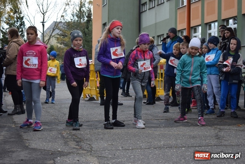 Zdjęcie w galerii na portalu naszraciborz.pl: Świąteczne bieganie w Kuźni, czyli Bieg Niepodległości wiadomości z regionu