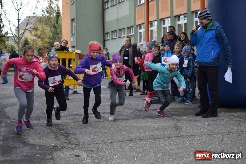 Zdjęcie w galerii na portalu naszraciborz.pl: Świąteczne bieganie w Kuźni, czyli Bieg Niepodległości wiadomości z regionu