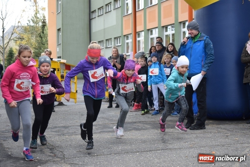 Zdjęcie w galerii na portalu naszraciborz.pl: Świąteczne bieganie w Kuźni, czyli Bieg Niepodległości wiadomości z regionu