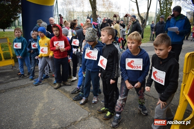 Zdjęcie w galerii na portalu naszraciborz.pl: Świąteczne bieganie w Kuźni, czyli Bieg Niepodległości wiadomości z regionu