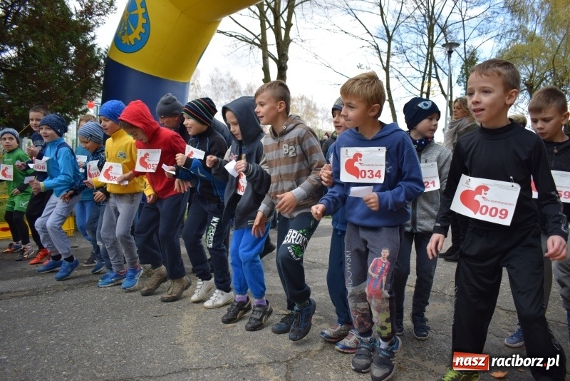 Zdjęcie w galerii na portalu naszraciborz.pl: Świąteczne bieganie w Kuźni, czyli Bieg Niepodległości wiadomości z regionu