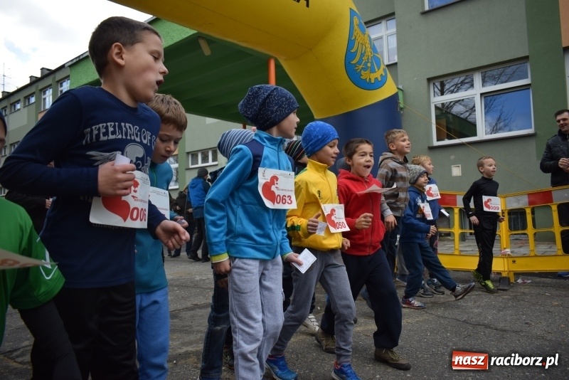 Zdjęcie w galerii na portalu naszraciborz.pl: Świąteczne bieganie w Kuźni, czyli Bieg Niepodległości wiadomości z regionu