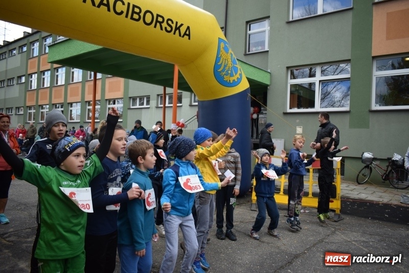 Zdjęcie w galerii na portalu naszraciborz.pl: Świąteczne bieganie w Kuźni, czyli Bieg Niepodległości wiadomości z regionu