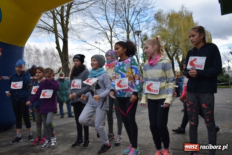 Zdjęcie w galerii na portalu naszraciborz.pl: Świąteczne bieganie w Kuźni, czyli Bieg Niepodległości wiadomości z regionu