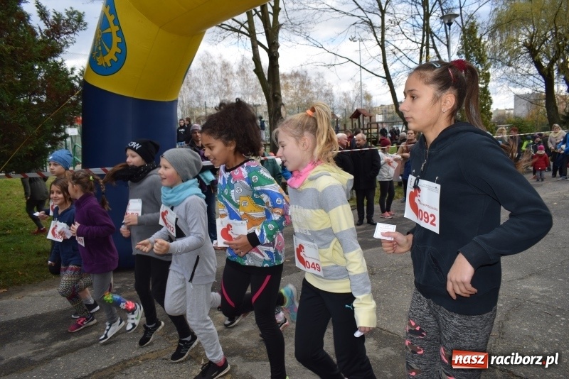 Zdjęcie w galerii na portalu naszraciborz.pl: Świąteczne bieganie w Kuźni, czyli Bieg Niepodległości wiadomości z regionu