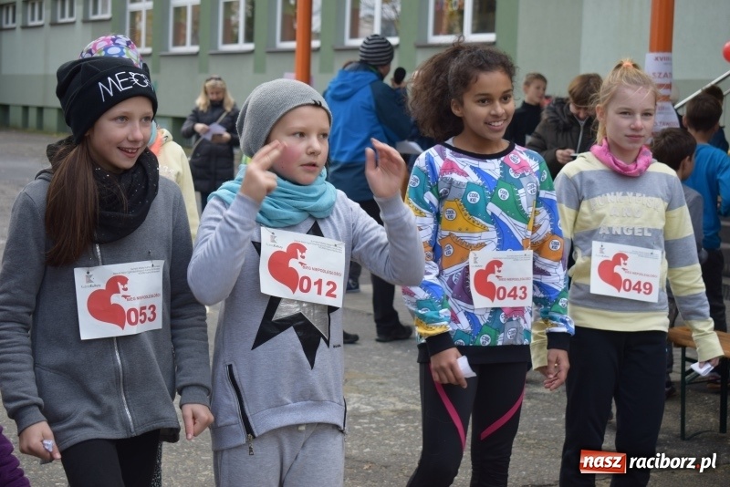 Zdjęcie w galerii na portalu naszraciborz.pl: Świąteczne bieganie w Kuźni, czyli Bieg Niepodległości wiadomości z regionu