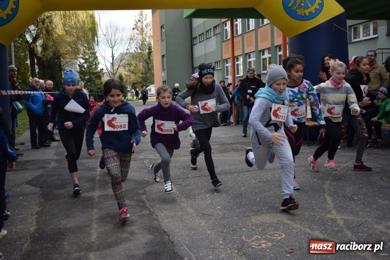 Zdjęcie w galerii na portalu naszraciborz.pl: Świąteczne bieganie w Kuźni, czyli Bieg Niepodległości wiadomości z regionu
