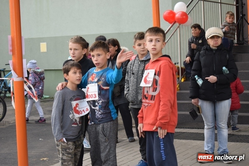 Zdjęcie w galerii na portalu naszraciborz.pl: Świąteczne bieganie w Kuźni, czyli Bieg Niepodległości wiadomości z regionu