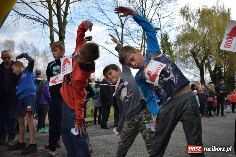 Zdjęcie w galerii na portalu naszraciborz.pl: Świąteczne bieganie w Kuźni, czyli Bieg Niepodległości wiadomości z regionu