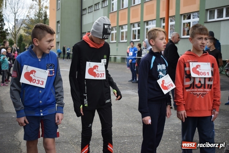 Zdjęcie w galerii na portalu naszraciborz.pl: Świąteczne bieganie w Kuźni, czyli Bieg Niepodległości wiadomości z regionu