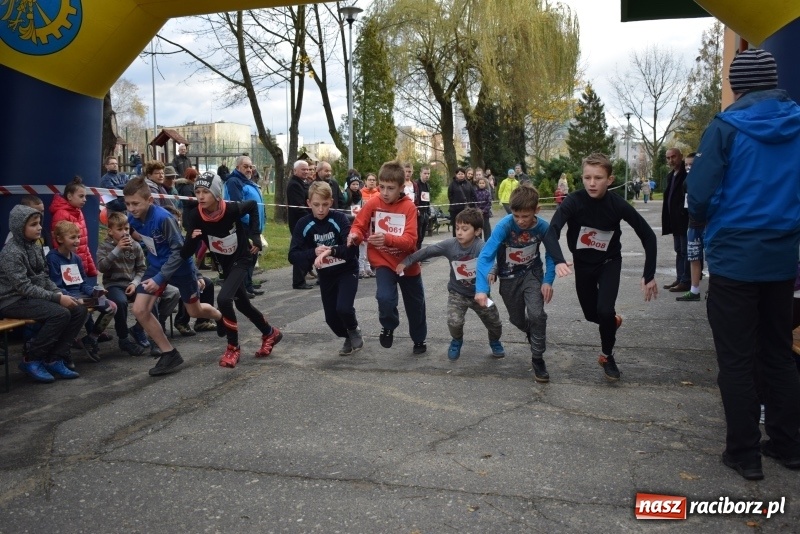 Zdjęcie w galerii na portalu naszraciborz.pl: Świąteczne bieganie w Kuźni, czyli Bieg Niepodległości wiadomości z regionu