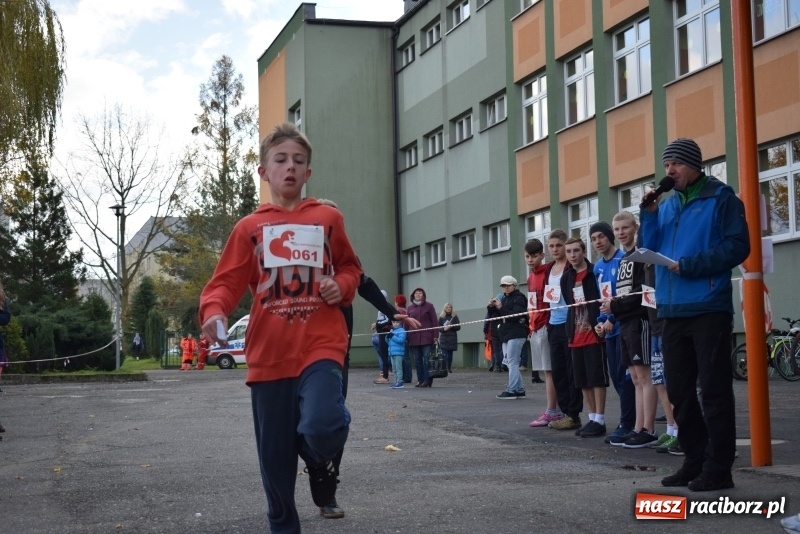 Zdjęcie w galerii na portalu naszraciborz.pl: Świąteczne bieganie w Kuźni, czyli Bieg Niepodległości wiadomości z regionu